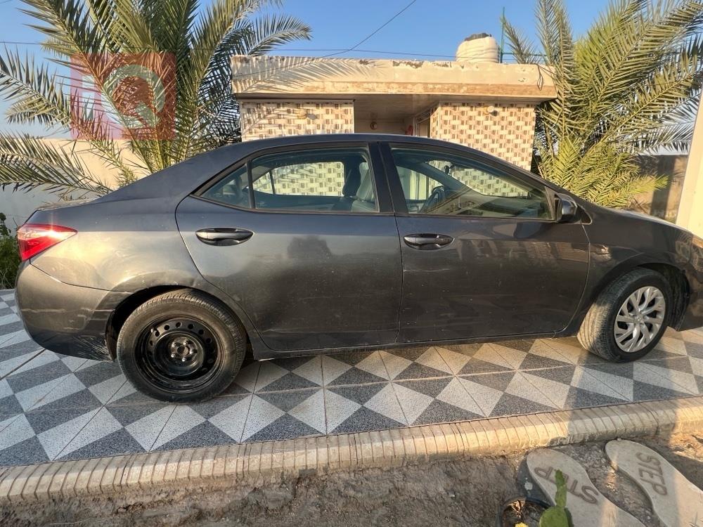 تويوتا كورولا